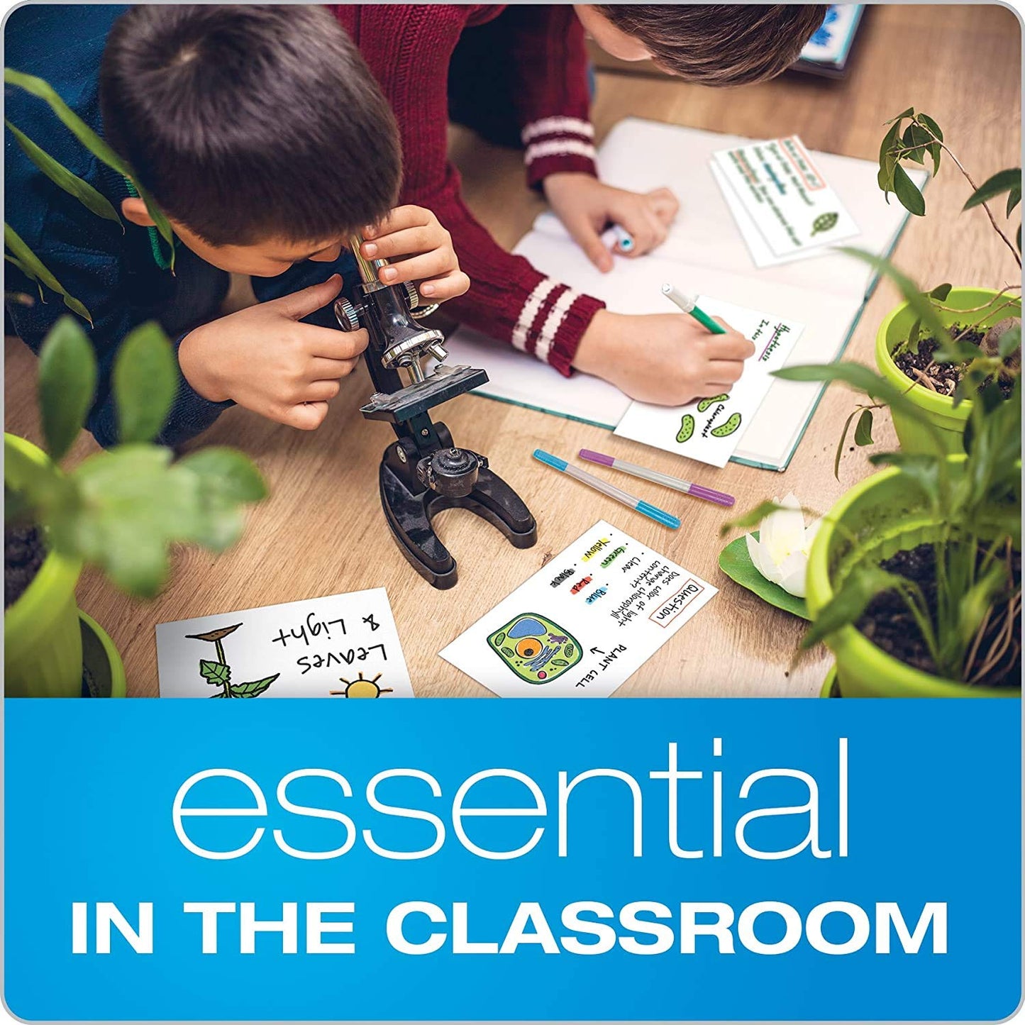 Accuprints Plain Index Flash Cards, 3 x 5 Inch, 200 GSM Card, White