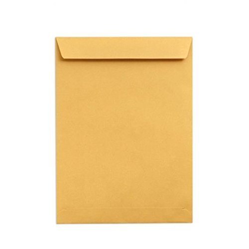 AccuPrints Yellow Envelope Large | A4 Size Envelope | 10 X 12 Inch